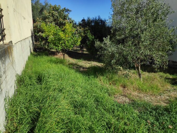 Πωλείται Οικόπεδο Μεσσάτιδα Οβριά