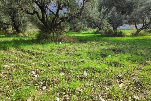 ΣΤΑΘΟΠΟΥΛΟΣ ΜΕΣΙΤΙΚΟ ΠΑΤΡΑ (4)