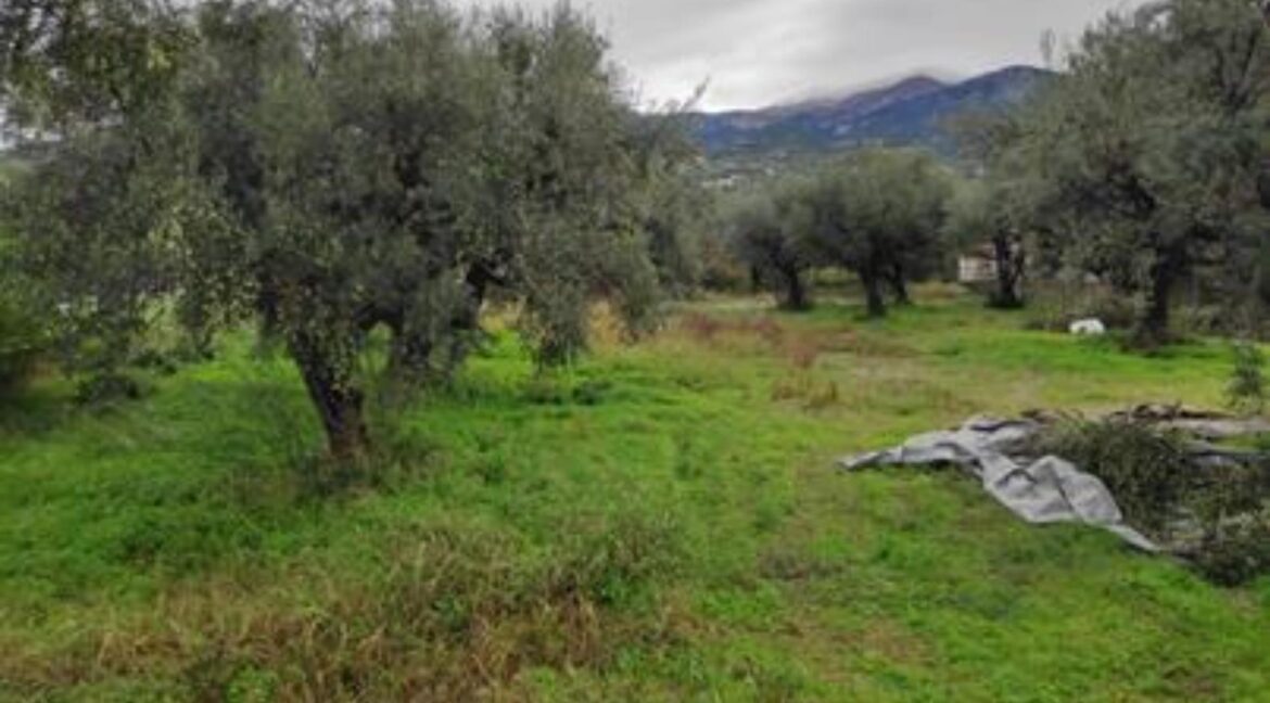 Πωλείται Αγροτεμάχιο ΓΡΑΦΕΙΟ ΠΑΤΡΑ ΣΤΑΘΟΠΟΥΛΟΣ (69)