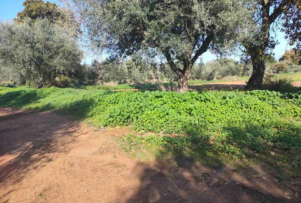 ΜΕΣΙΤΙΚΟ ΓΡΑΦΕΙΟ ΠΑΤΡΑ ΣΤΑΘΟΠΟΥΛΟΣ (2)