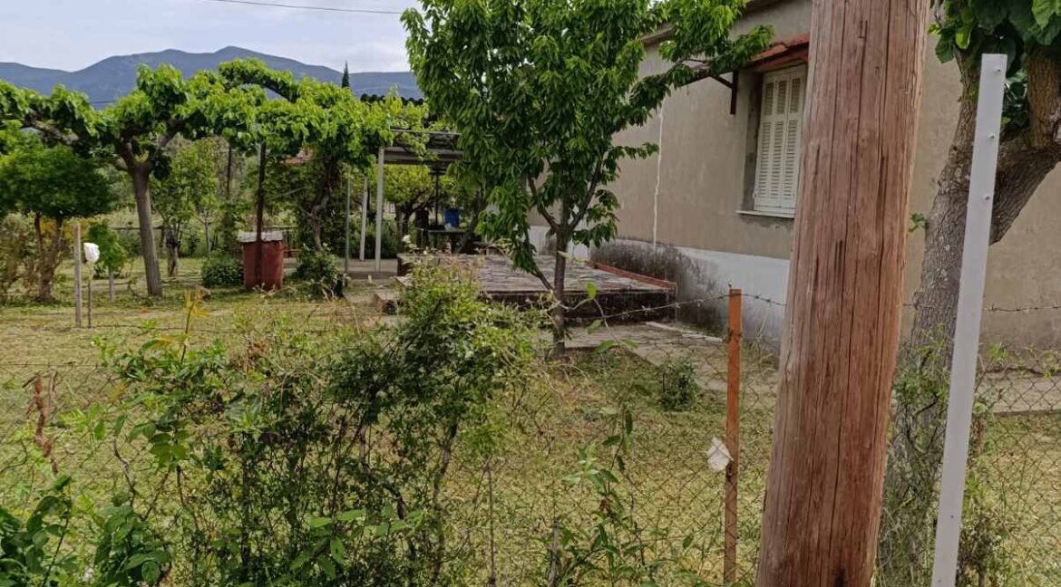 εικόνα_Viber_2025-06-04_10-51-46-576