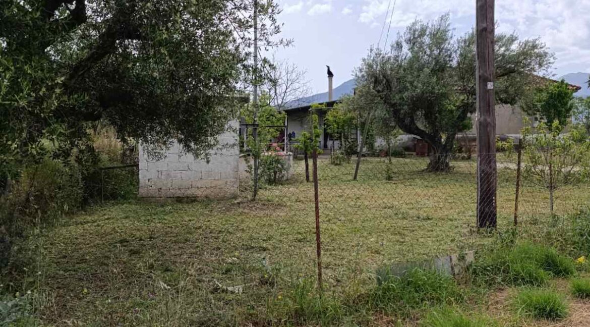 εικόνα_Viber_2025-06-04_10-51-46-717