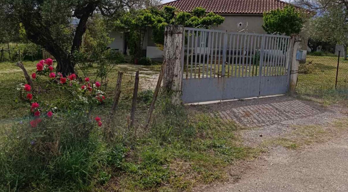 εικόνα_Viber_2025-06-04_10-51-46-842