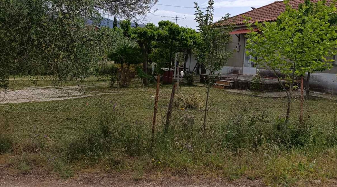 εικόνα_Viber_2025-06-04_10-51-46-887