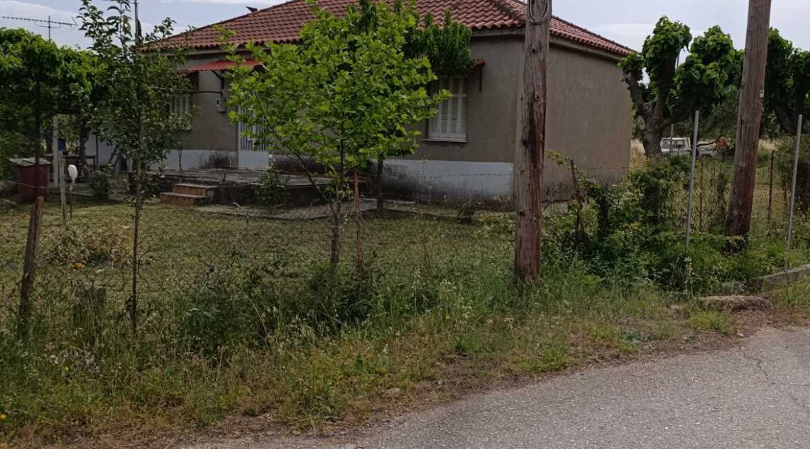 εικόνα_Viber_2025-06-04_10-51-47-832